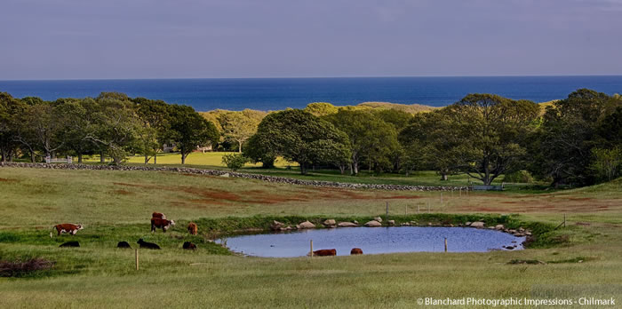 chilmark-blanchardphotography