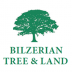 Bilzerian Tree & Land Martha's Vineyard
