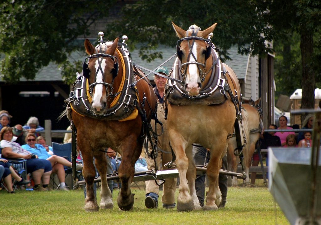 Save The Dates Summer 2019 Events On Martha s Vineyard Martha s 