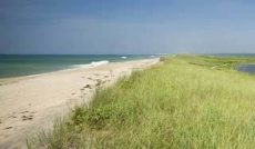 A view of Long Point beach on Martha's Vineyard