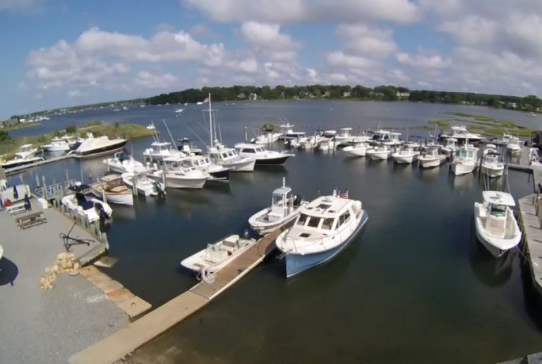 Web Cams Martha�s Vineyard Online